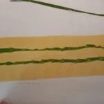 impasto bicolore